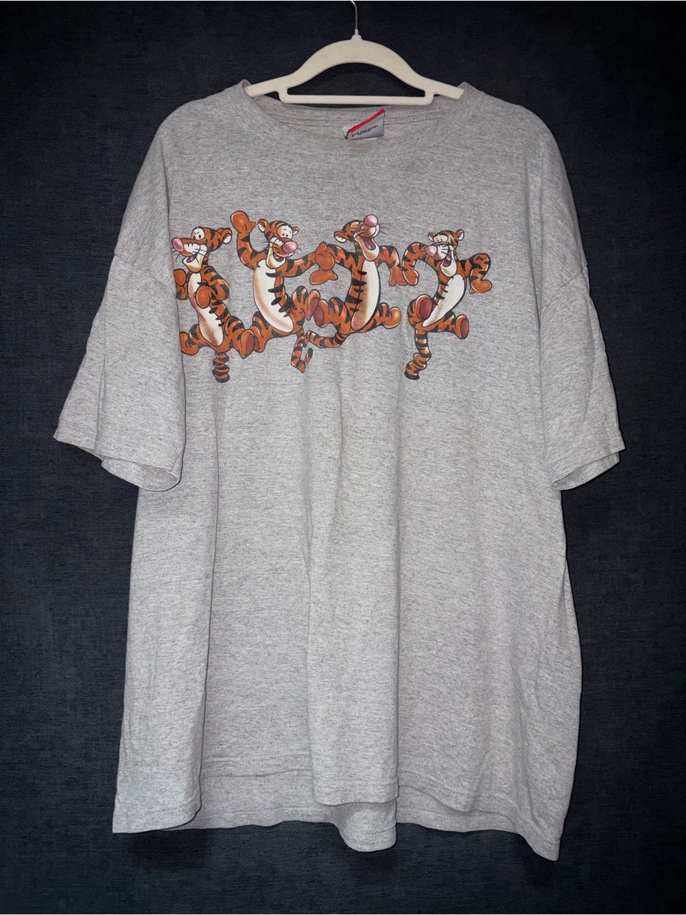 Gray Tigger Graphic Short Sleeve Tee